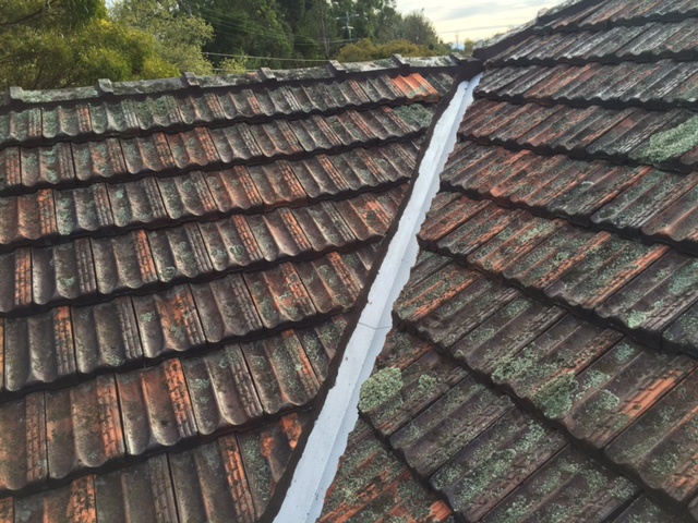 roof restoration wantirna